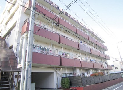 サンライズ蓮根