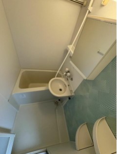 スライド画像5
