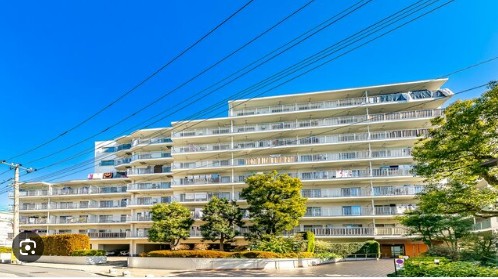 目白ガーデニア