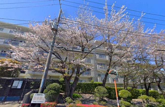 スライド画像3